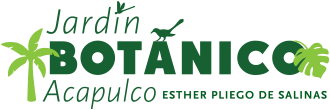jardin-botanico-acapulco-logotipo-small-correct