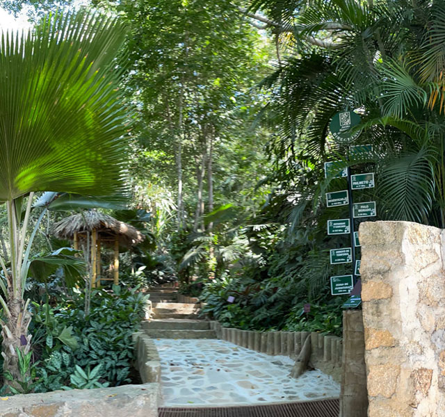 jardin-botanico-acapulco-entrada-recorrido-principal